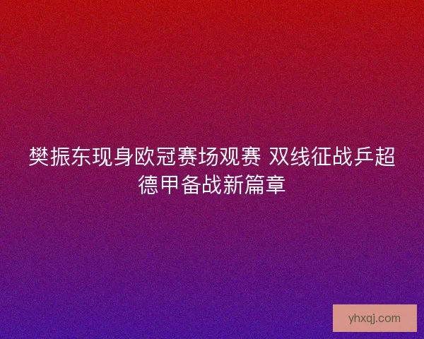 樊振东现身欧冠赛场观赛 双线征战乒超德甲备战新篇章