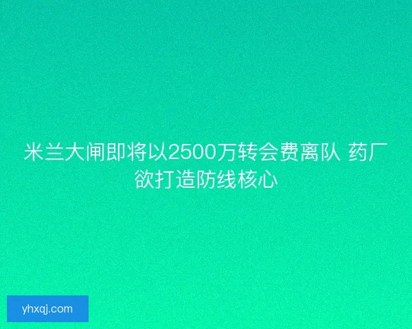 米兰大闸即将以2500万转会费离队 药厂欲打造防线核心 米兰大闸即将以2500万转会费离队 药厂欲打造防线核心